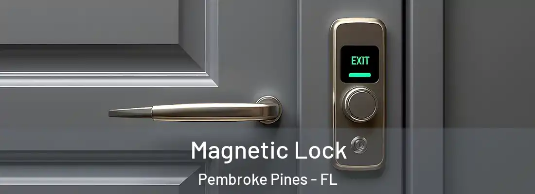  Magnetic Lock Pembroke Pines - FL